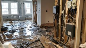 Disaster Restoration